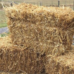 Straw Bale